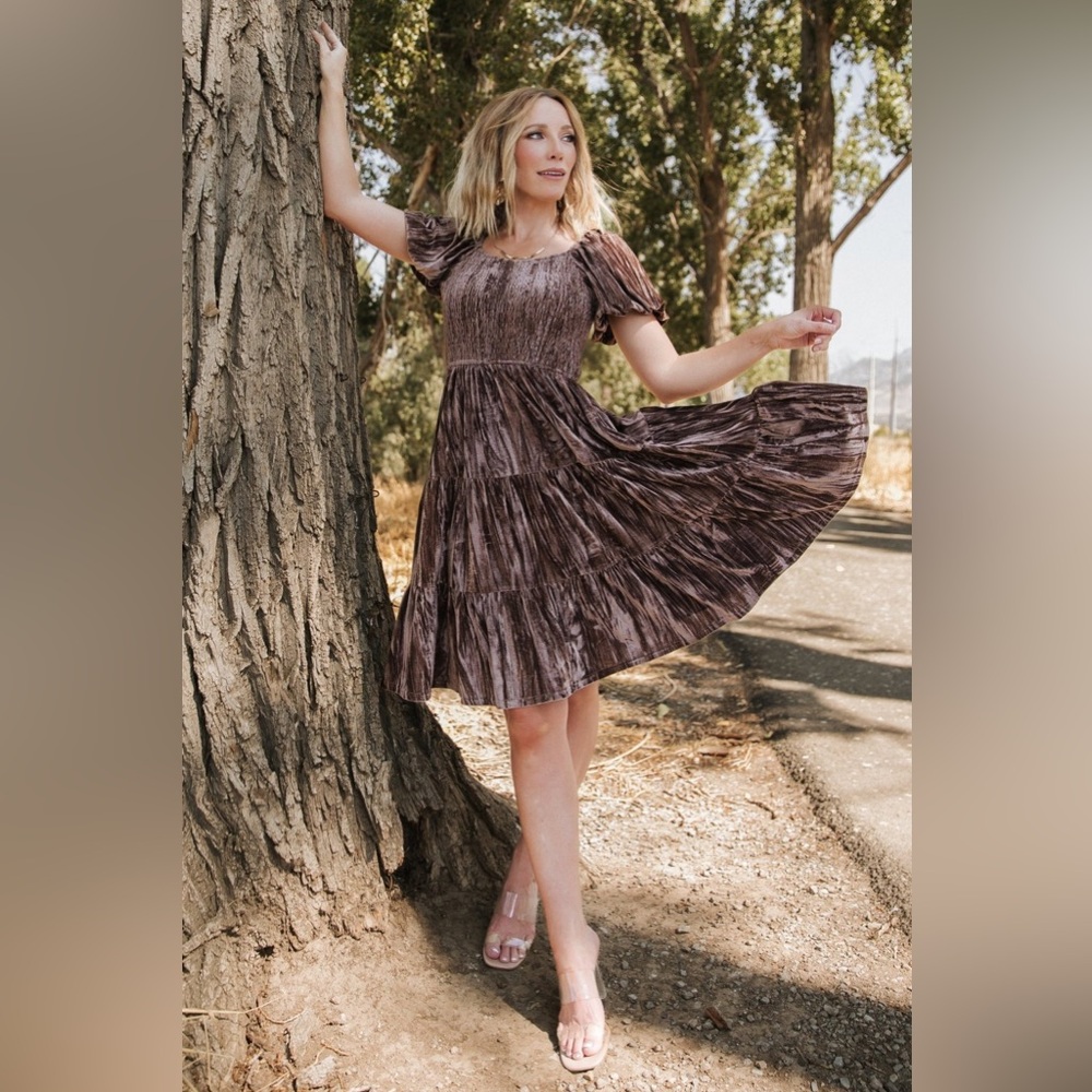 Pleated Short-Sleeve Tiered Dress in Brown